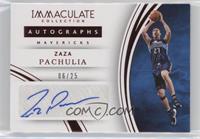 Zaza Pachulia #/25