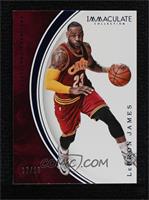 LeBron James [Noted] #/10