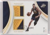 Rudy Gobert #/25