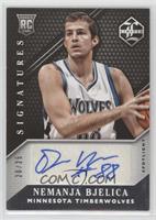 Nemanja Bjelica #/25