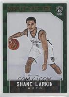 Shane Larkin