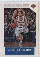 Jose Calderon #/299