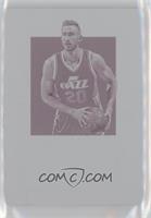 Gordon Hayward #/1