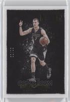 Color - Goran Dragic #/99