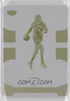 Silhouettes - DeMarre Carroll [EX to NM] #/1