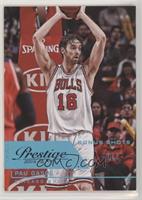 Pau Gasol #/99