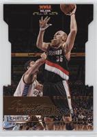 Chris Kaman #/149