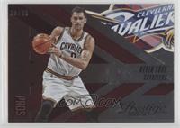 Kevin Love #/49