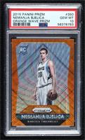 Rookies - Nemanja Bjelica [PSA 10 GEM MT]