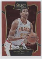 Concourse - Walter Tavares #/149