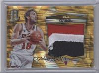 Pau Gasol #/10