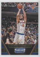 Robin Lopez #/25