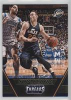 Gordon Hayward #/25