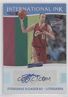 Zydrunas Ilgauskas #/49