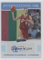 Zydrunas Ilgauskas #/199