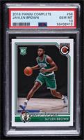 Jaylen Brown [PSA 10 GEM MT]