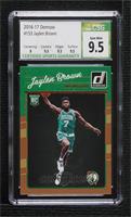 Rookies - Jaylen Brown [CSG 9.5 Gem Mint]