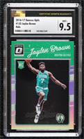 Jaylen Brown [CSG 9.5 Mint Plus]