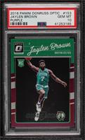 Jaylen Brown [PSA 10 GEM MT]