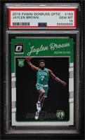 Jaylen Brown [PSA 10 GEM MT]