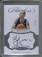 Zydrunas Ilgauskas #/25