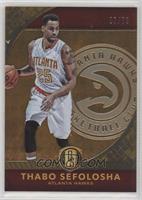 Thabo Sefolosha #/79