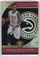 Thabo Sefolosha #/15