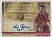 Thabo Sefolosha #/75