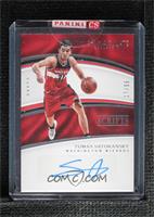 Tomas Satoransky [Uncirculated] #/99