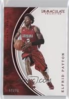 Elfrid Payton #/25