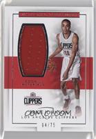 Brice Johnson #/75