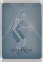 Color - Pau Gasol #/1