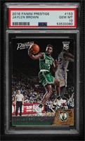 Rookies - Jaylen Brown [PSA 10 GEM MT]