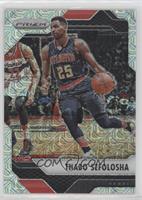 Thabo Sefolosha #/25