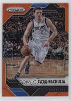 Zaza Pachulia #/49