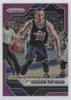 Gordon Hayward #/75