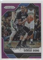 Gorgui Dieng #/75