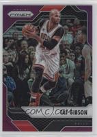 Taj Gibson #/75