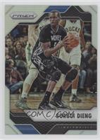 Gorgui Dieng