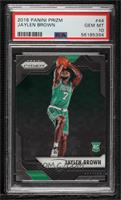 Jaylen Brown [PSA 10 GEM MT]