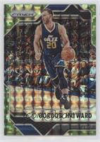 Gordon Hayward #/25