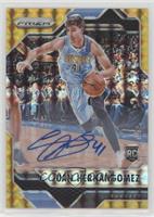 Juan Hernangomez #/10