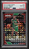 Jaylen Brown [PSA 10 GEM MT]