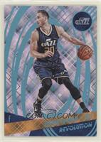 Gordon Hayward #/100