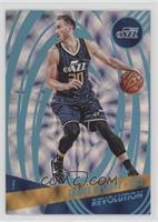 Gordon Hayward #/25