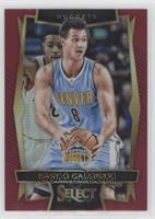 Concourse - Danilo Gallinari #/175