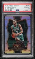 Premier Level - Jaylen Brown [PSA 10 GEM MT]