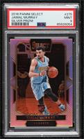 Courtside - Jamal Murray [PSA 9 MINT]