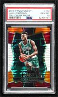 Premier Level - Jaylen Brown [PSA 10 GEM MT]