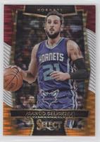 Concourse - Marco Belinelli [EX to NM]